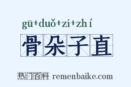 骨朵子直是什么意思的图片
